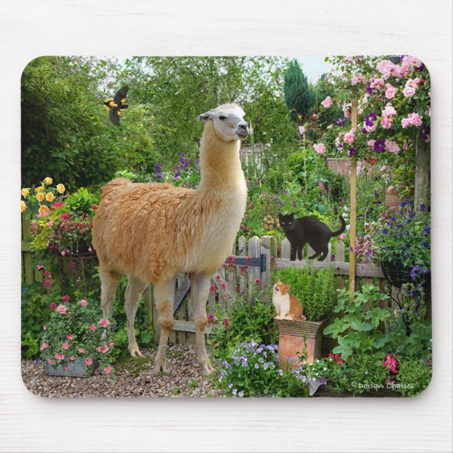 Alfombrilla De Ratón "Gigi la llama" Mousepad (Frente)