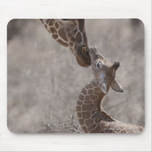 Alfombrilla De Ratón Giraffe, Kenya, África