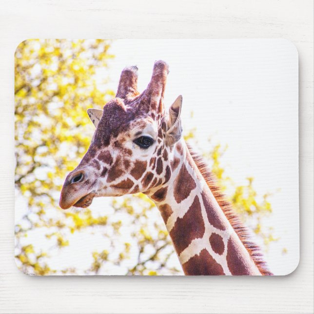 Alfombrilla De Ratón Giraffe Portrait (Frente)