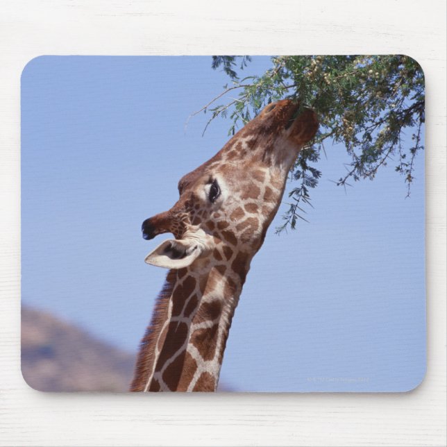 Alfombrilla De Ratón Giraffe reticulada (Frente)
