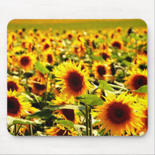 Alfombrilla De Ratón girasol