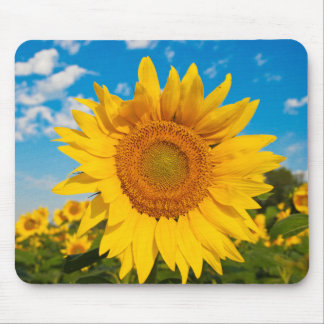 Alfombrilla De Ratón Girasol