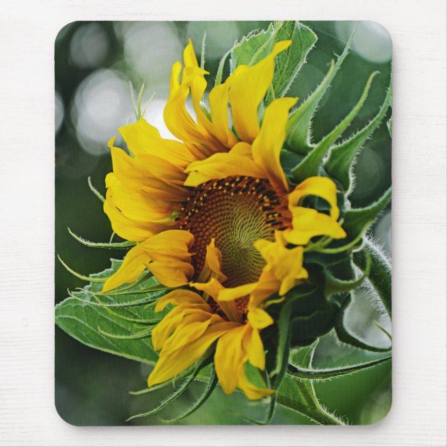 Alfombrilla De Ratón Girasol (Frente)
