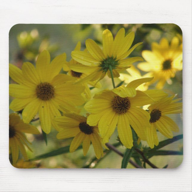 Alfombrilla De Ratón Girasol de pantano 2 Mousepad (Frente)