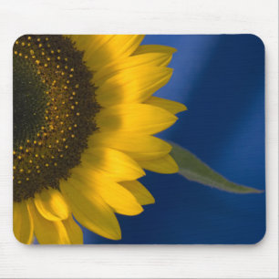 Alfombrilla De Ratón Girasol en azul