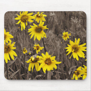 Alfombrilla De Ratón Girasol en la Montaña Rocosa