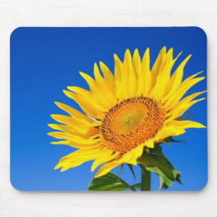 Alfombrilla De Ratón Girasol hermoso