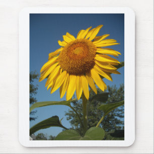 Alfombrilla De Ratón Girasol matutino