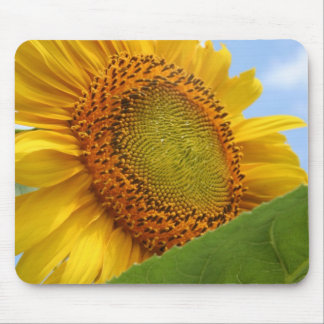 Alfombrilla De Ratón Girasol soleado