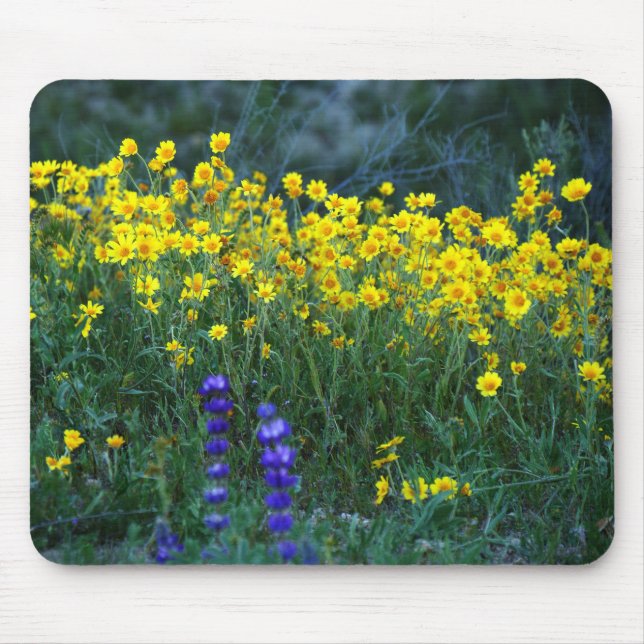 Alfombrilla De Ratón Girasol y lavanda (Frente)