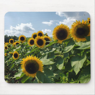 Alfombrilla De Ratón Girasoles