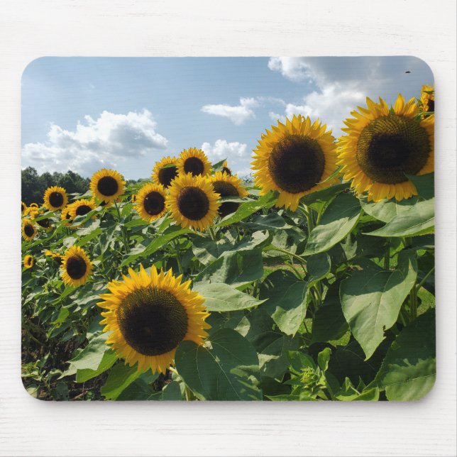 Alfombrilla De Ratón Girasoles (Frente)