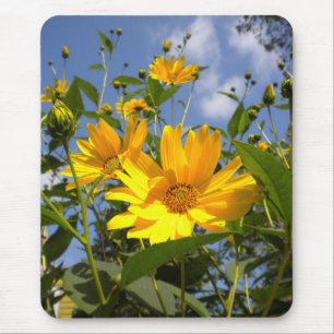 Alfombrilla De Ratón Girasoles y cielo envuelto en lienzo
