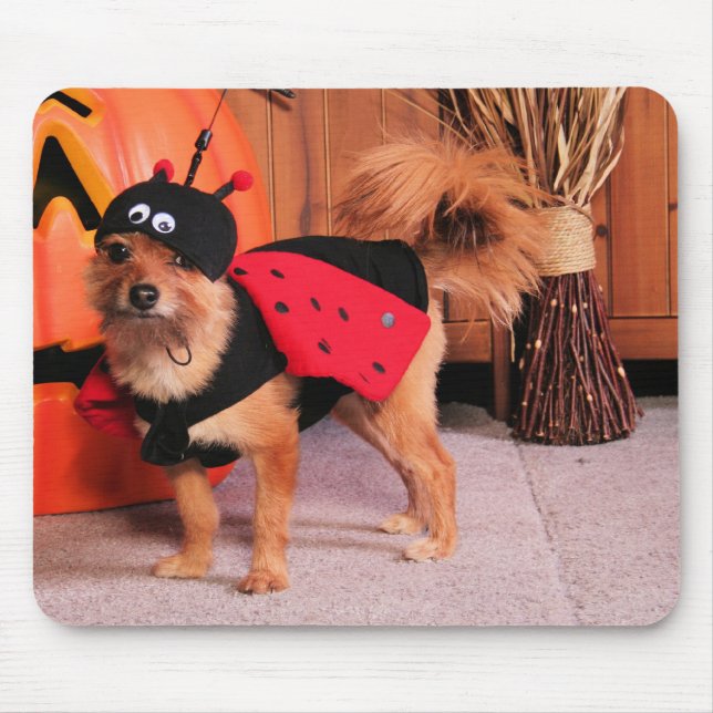 Alfombrilla De Ratón Gizzy - YorkiePom - Burbridge (Frente)