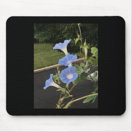 Alfombrilla De Ratón Gloria de la mañana cascada azul
