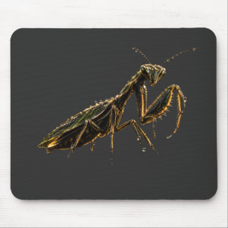 Alfombrilla De Ratón Golden Praying Mantis Black & Gold