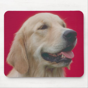 Alfombrilla De Ratón Golden retriever