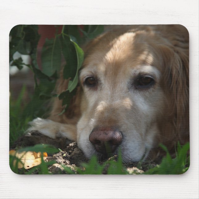 Alfombrilla De Ratón Golden retriever (Frente)