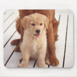 Alfombrilla De Ratón Golden retriever 2