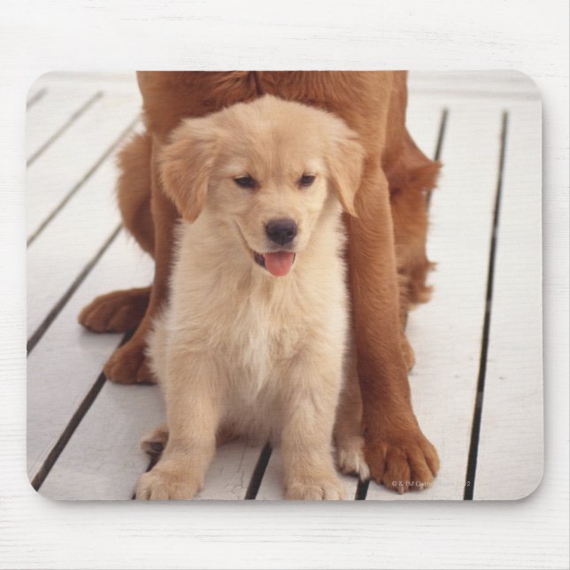 Alfombrilla De Ratón Golden Retriever 2 (Frente)