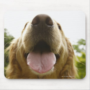 Alfombrilla De Ratón Golden retriever 5