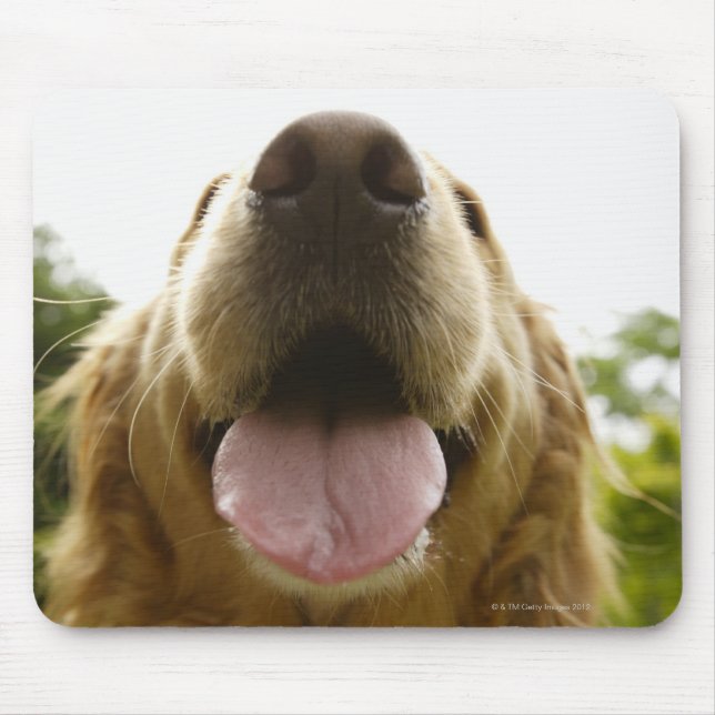 Alfombrilla De Ratón Golden Retriever 5 (Frente)