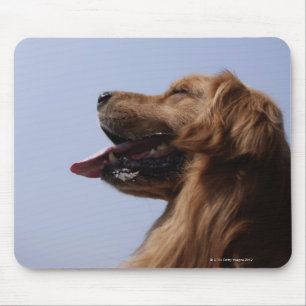 Alfombrilla De Ratón Golden Retriever 6