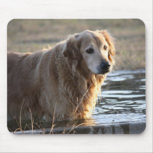 Alfombrilla De Ratón Golden retriever en agua