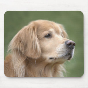 Alfombrilla De Ratón Golden Retriever in Closeup