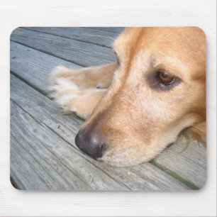Alfombrilla De Ratón Golden retriever Mousepad