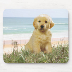 Alfombrilla De Ratón Golden retriever Mousepad