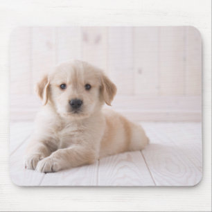 Alfombrilla De Ratón Golden retriever que se acuesta