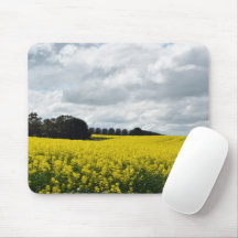 Golden Waves of Streatham