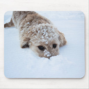 Alfombrilla De Ratón Goldendoodle Con Nariz En Nieve