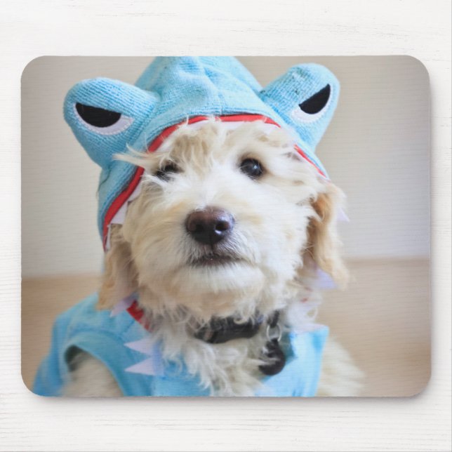 Alfombrilla De Ratón Goldendoodle En Traje De Tiburón (Frente)