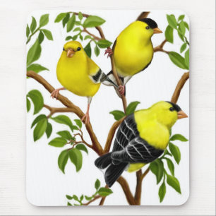 Alfombrilla De Ratón Goldfinches americanos en las vides Mousepad