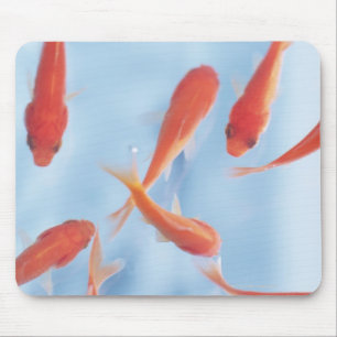 Alfombrilla De Ratón Goldfish