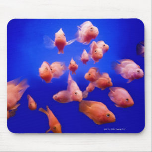 Alfombrilla De Ratón Goldfish 2