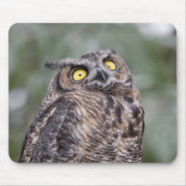 Alfombrilla De Ratón Goofy Owl Mousepad