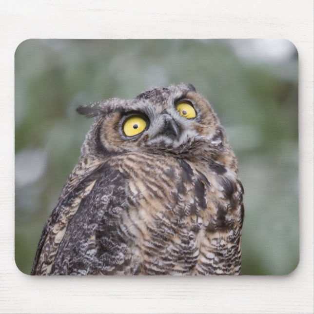 Alfombrilla De Ratón Goofy Owl Mousepad (Frente)