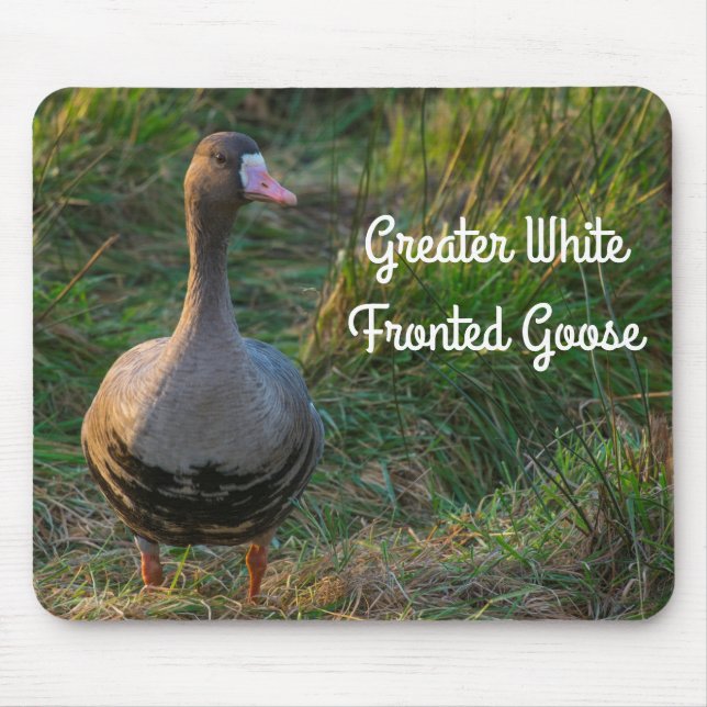 Alfombrilla De Ratón Goose con frente blanco mayor (Frente)