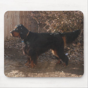 Alfombrilla De Ratón Gordon Setter Mousepad