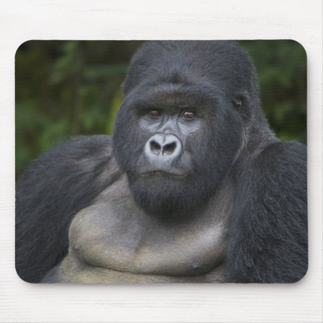 Alfombrilla De Ratón Gorila de montaña y silverback (Frente)