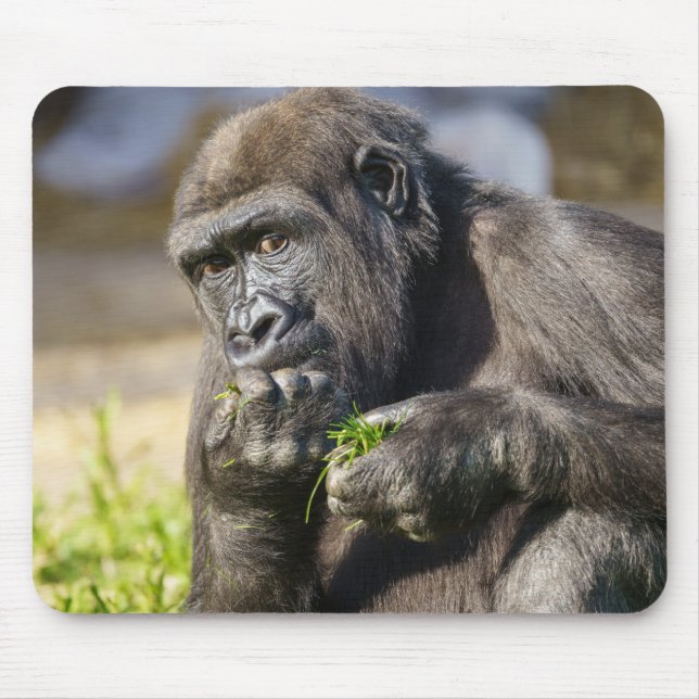 Alfombrilla De Ratón Gorilla Youngster (Frente)