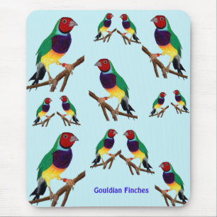 Alfombrilla De Ratón ~ Gouldian Finch ~ Arte original ~ Almohadilla del