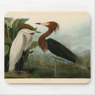 Alfombrilla De Ratón Grabado de Garza Morada de Audubon: Arte de Aves