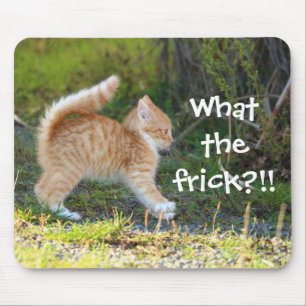 Alfombrilla De Ratón Graciosamente Sorprendió A Ginger Kitten. ¿Cuál