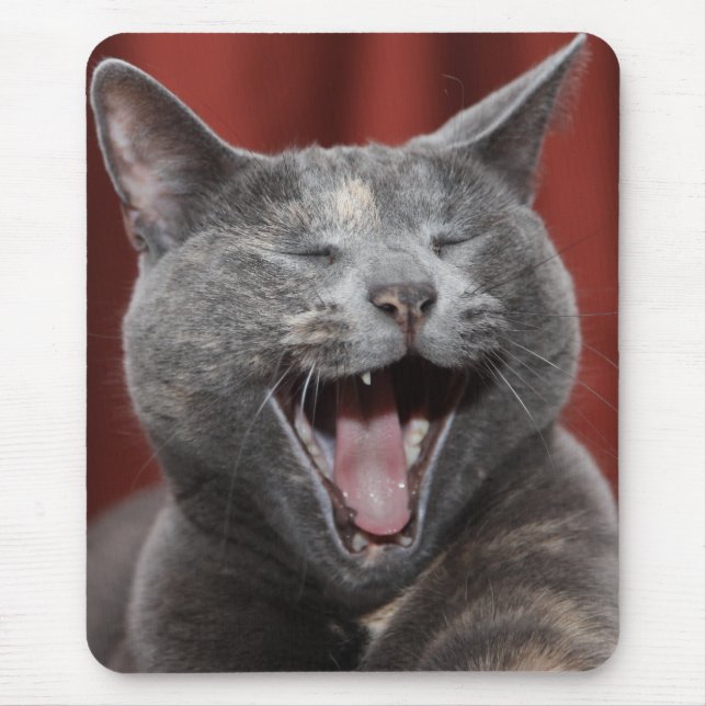 Alfombrilla De Ratón Gracioso gatito - ¡Listo para comer el ratón! (Frente)