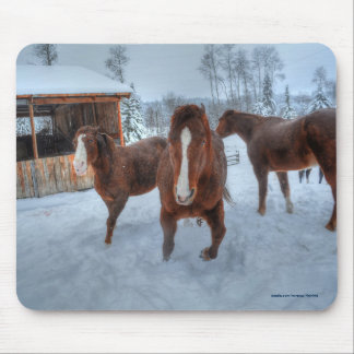 Alfombrilla De Ratón Gracioso Stallion Amoroso y reticentes caballos ma