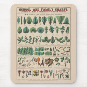 Alfombrilla De Ratón Gráfico Antiguo de la Escuela Botánica Naturaleza
